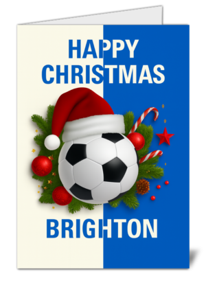 Brighton & Hove Albion Fan Christmas Card - High Quality Gloss Football Themed Christmas Card 363